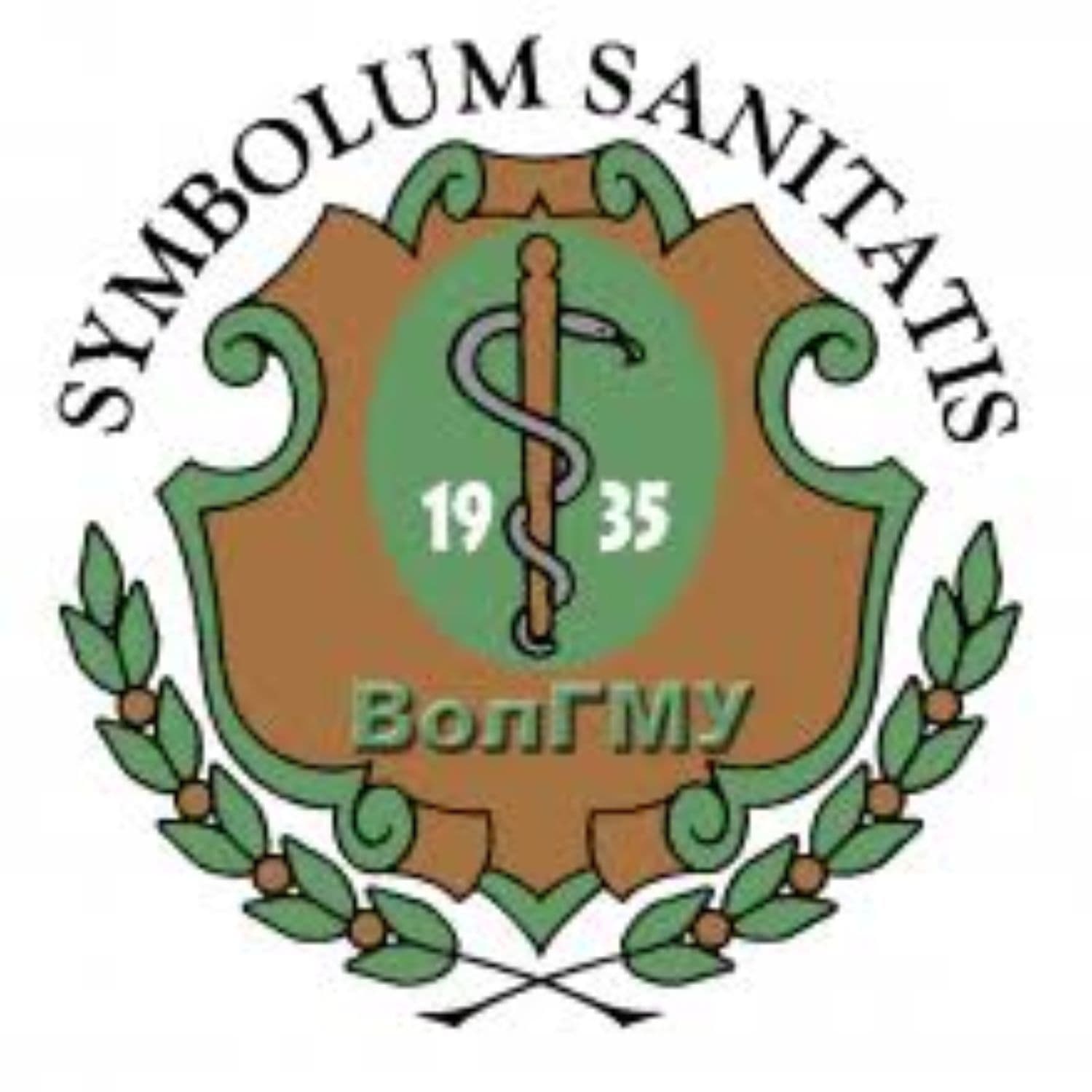 Volgograd State Medical University (VSMU) Logo