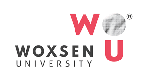 Woxsen School of Arts and Design, Hyderabad Logo